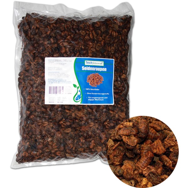 TEICHFREUND® Seidenraupen Premium Qualität 1500g