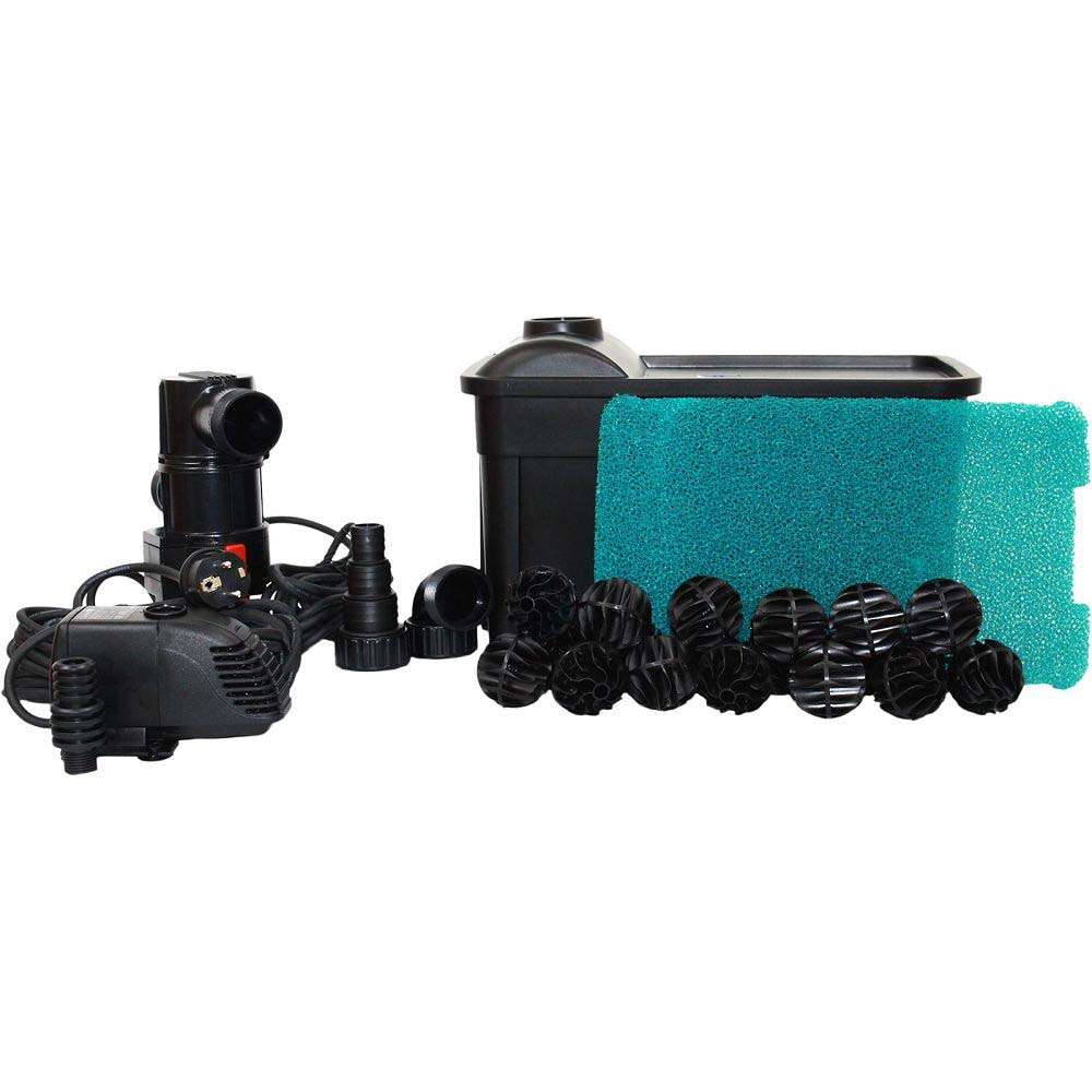 WaterPlants Teichmuschel Set - Natürlicher Bio Filter Gegen Algen Im Gartenteich